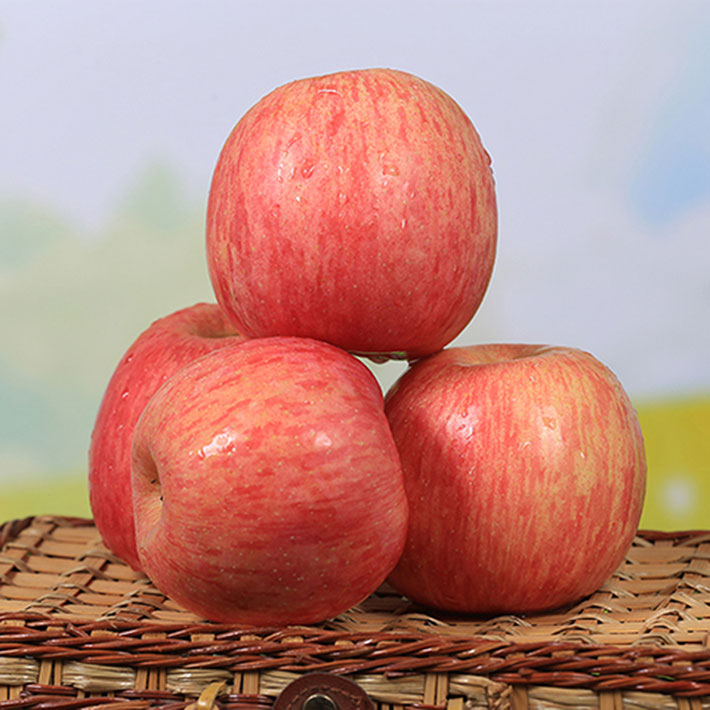 FA Fresh Fuji Apple Fruits - Image 1