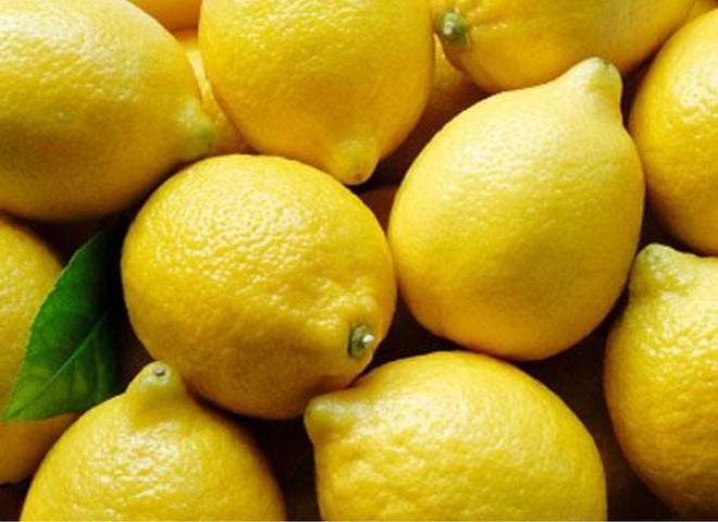 LDS Lemon Eureka Dwarf - Image 1