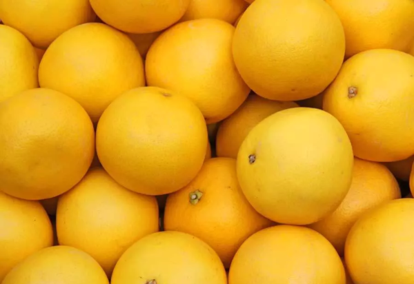 Ruby Grapefruit large