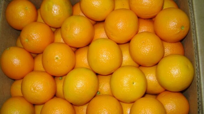Fresh Naval Orange - Image 1