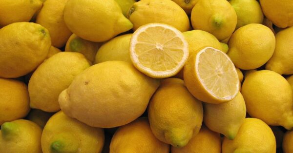 Lisbon Lemon Seeds for Planting – Grow Fresh Citrus Trees
