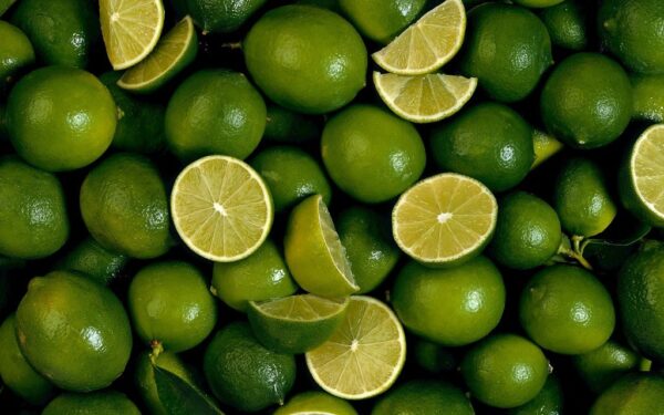 Get Fresh Green Lemon Best Wholesale Price Bulk Farm Fresh Juicy and Rich in Nutrients Fresh Green Lemon for Sale